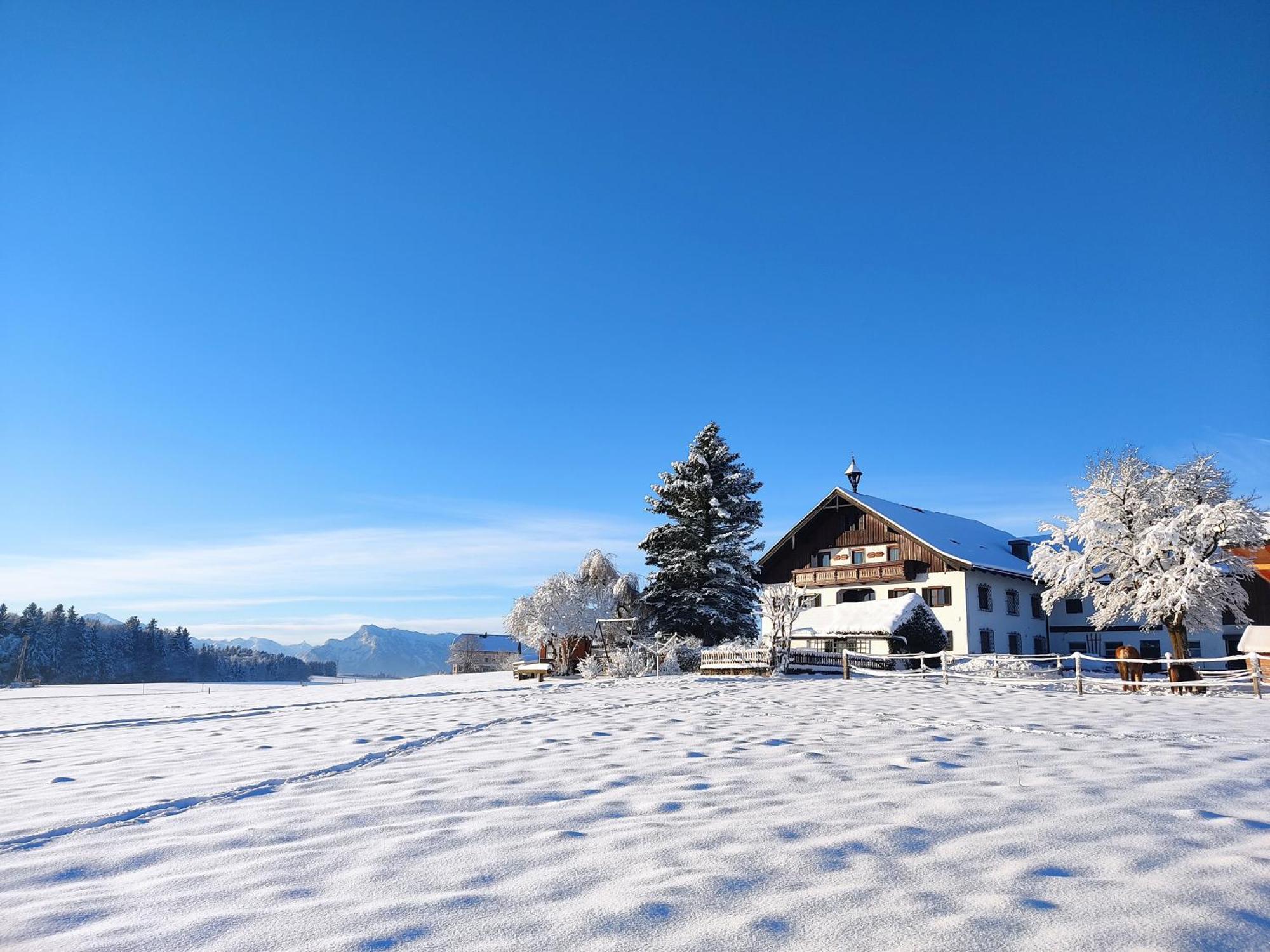 Villa Bauernhofferien Oberduernberg à Seekirchen am Wallersee Extérieur photo
